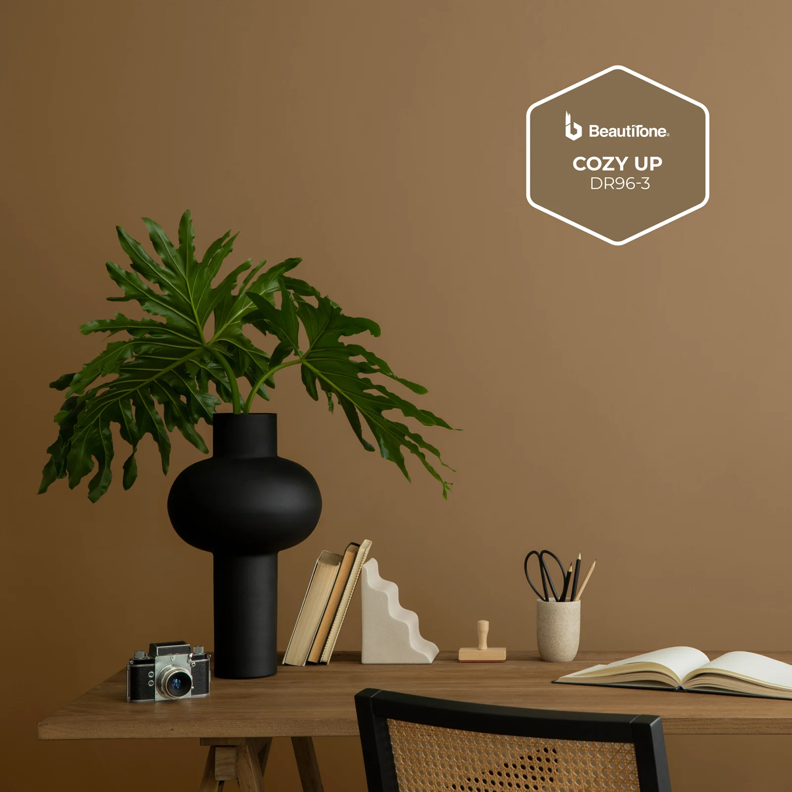 Warm, dark taupe paint colour on walls