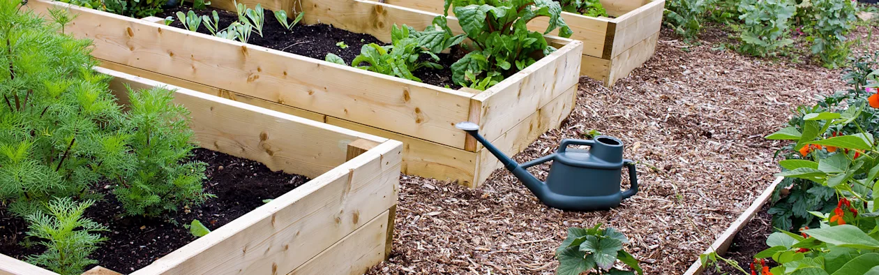 Earth to Table 2026