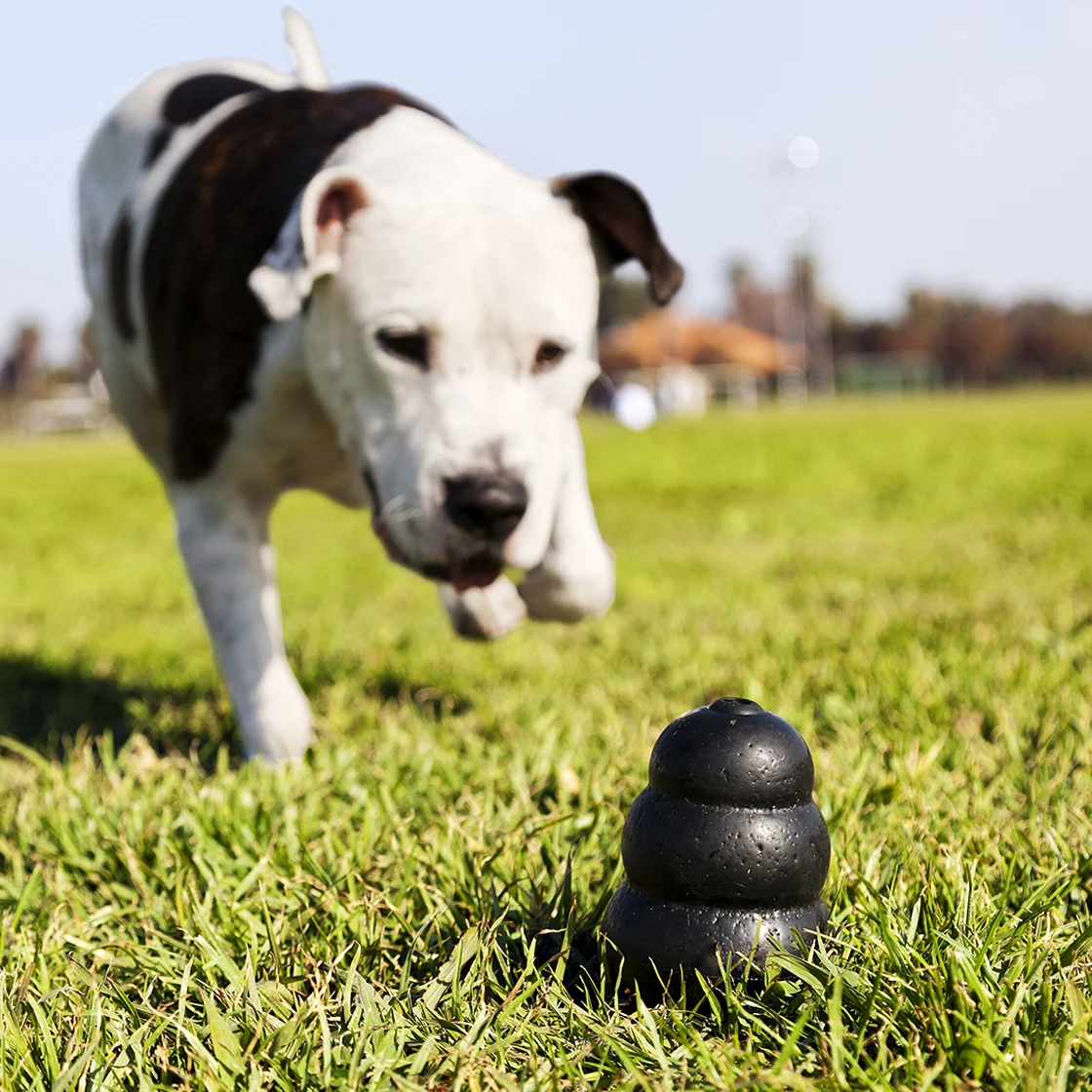 dogs playing with toys 1120x1120