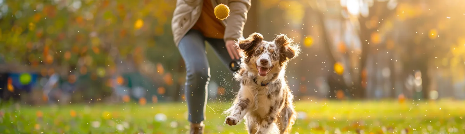 outside playing with a dog 1600x464