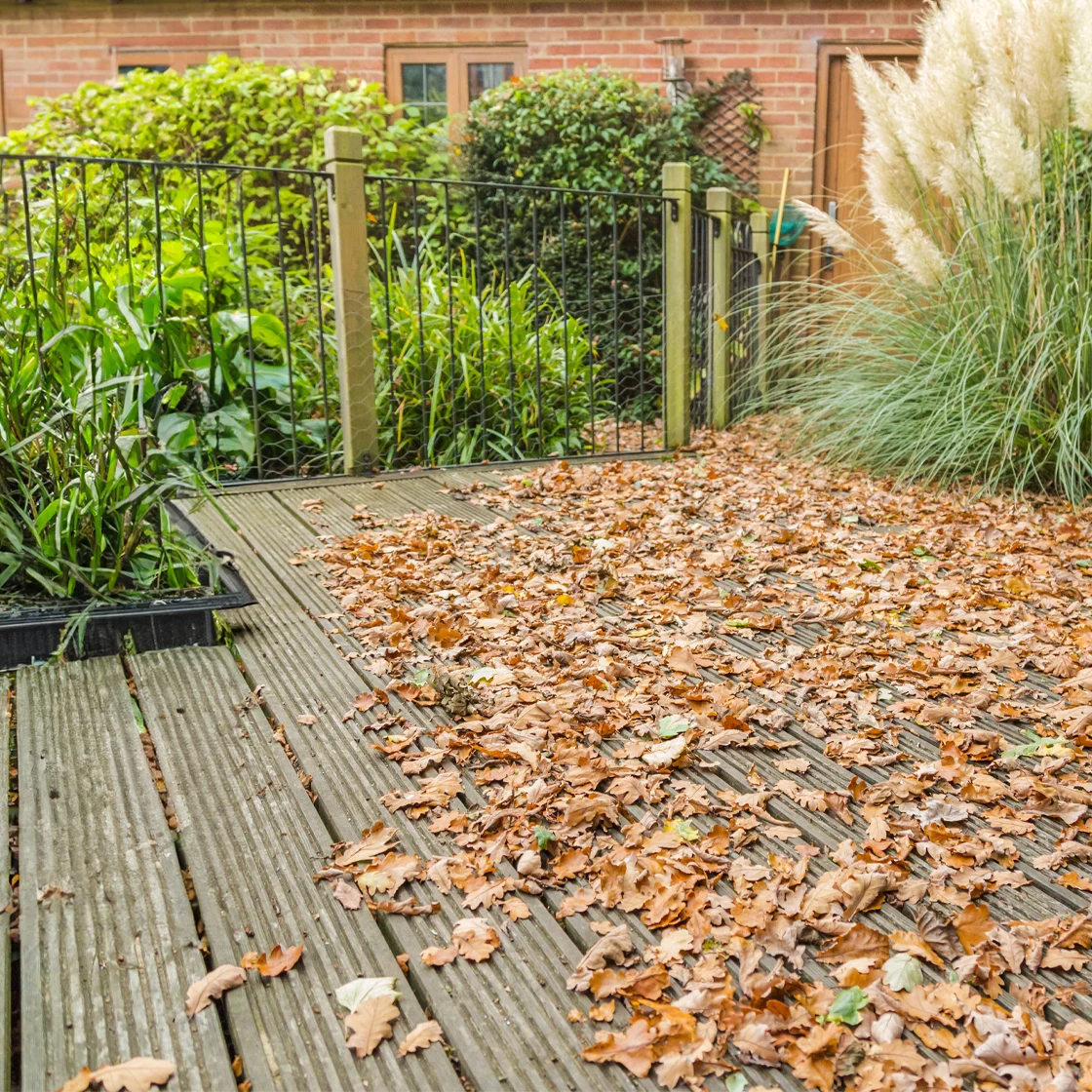 deck covered in leaves 1120x1120