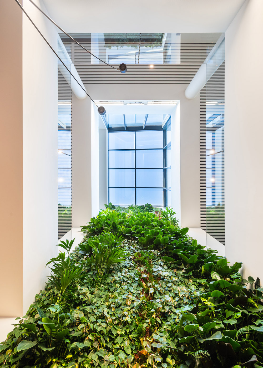 Chiggiato Trasporti - Interno