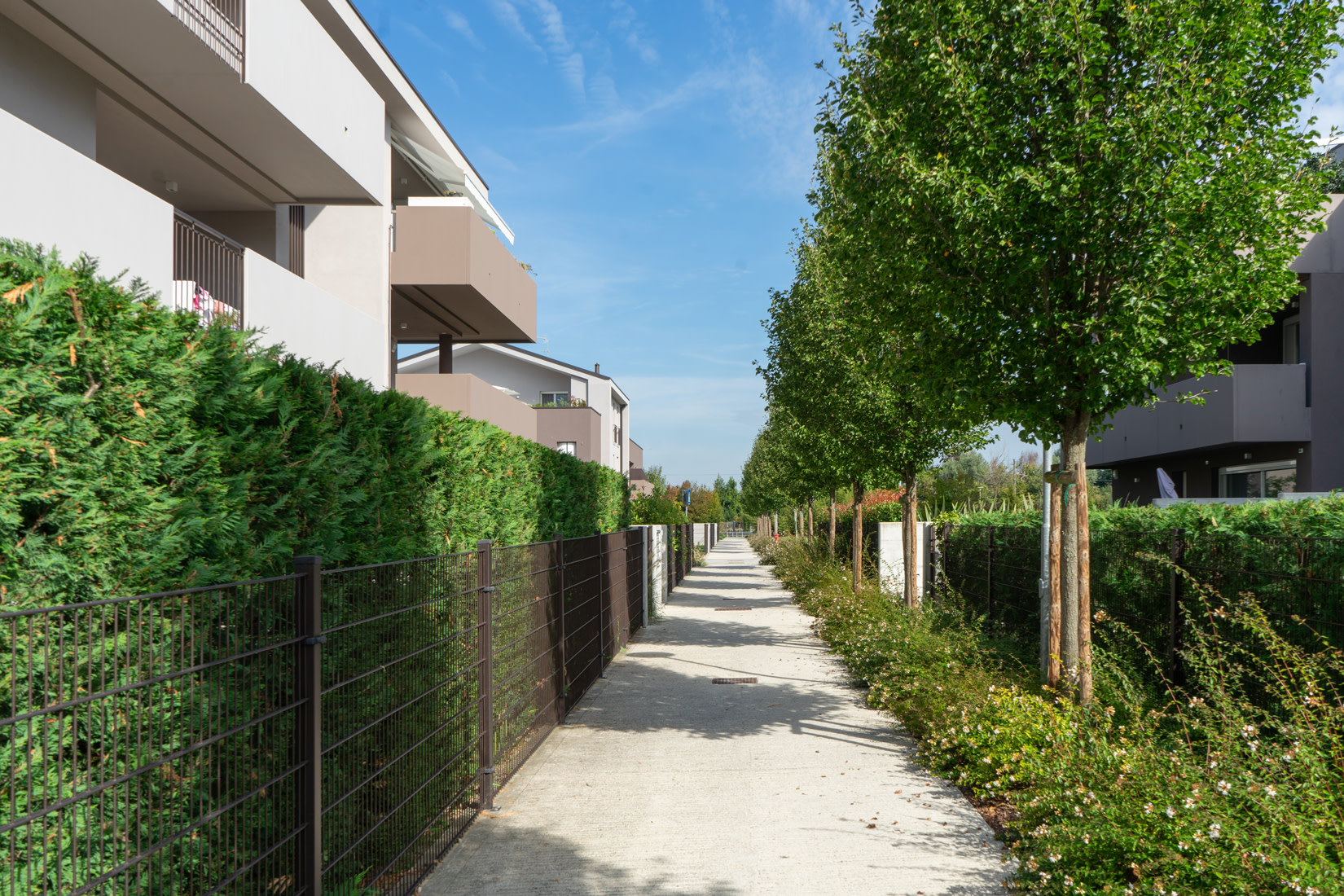 Bosco Urbano - Percorso