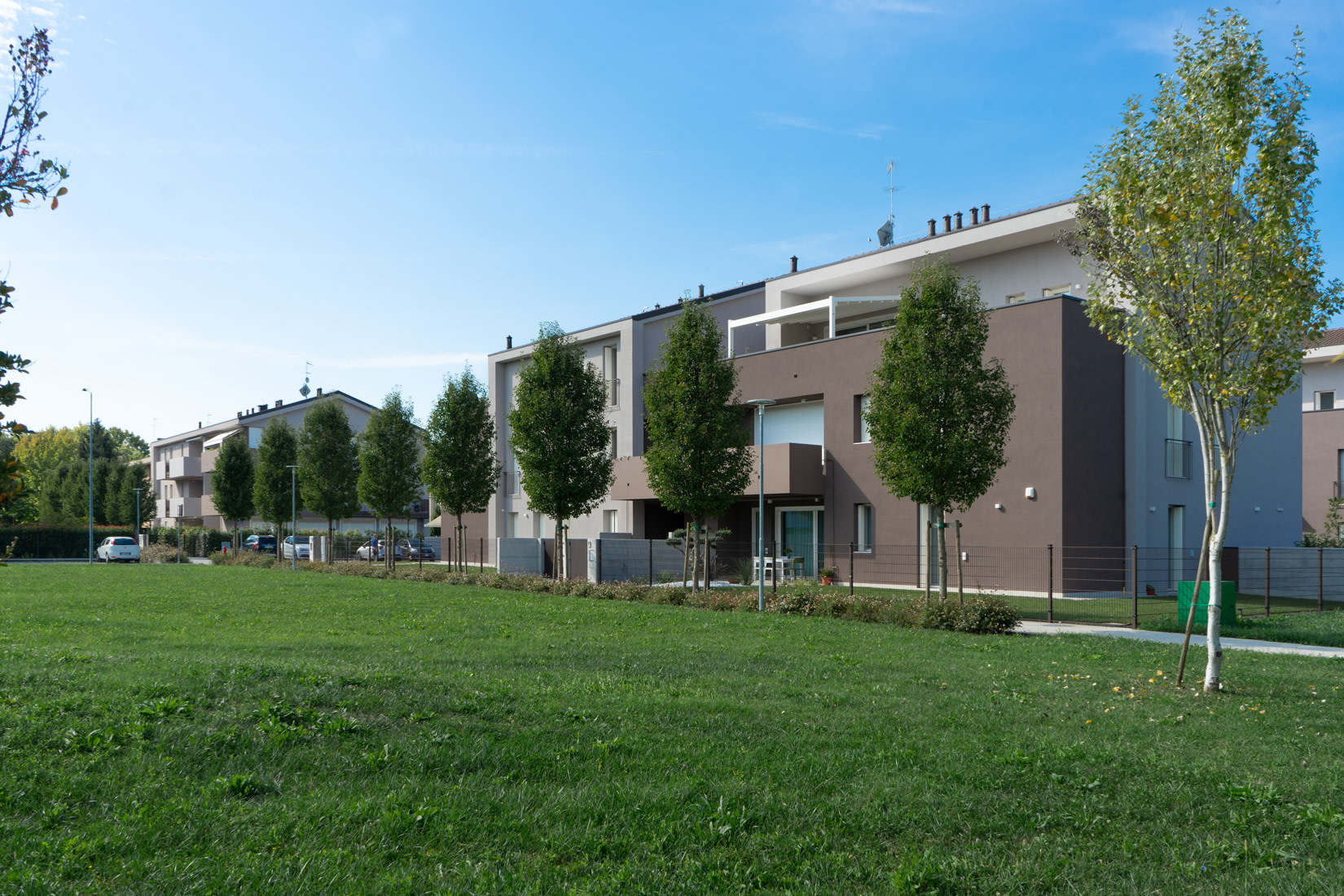 Bosco Urbano - Tintoretto