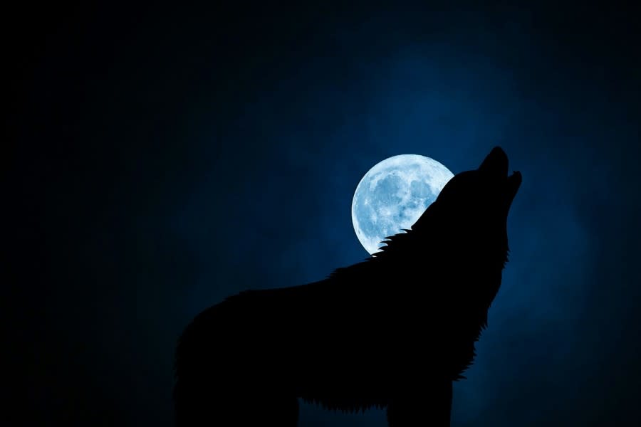 weerwolf en maan
