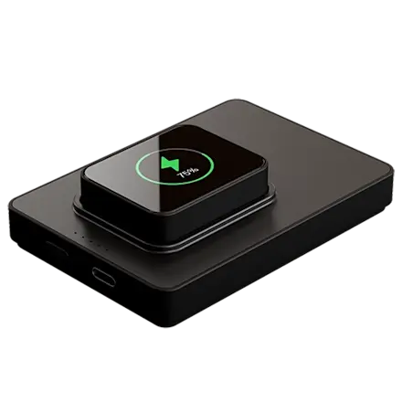 Saphe T sort 4