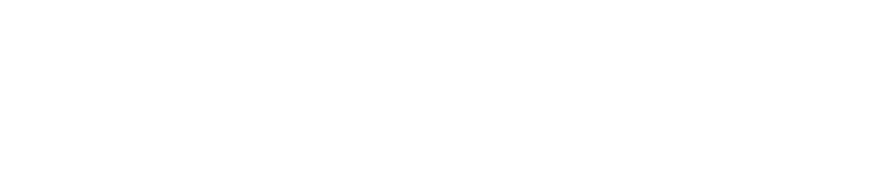 check an invoice svg