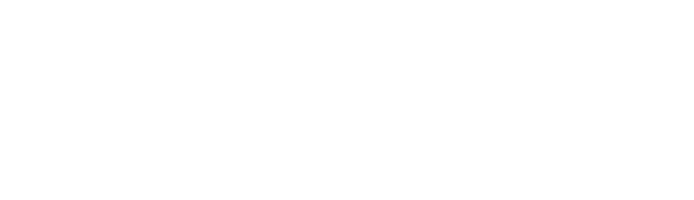 PaywithTransferWiseLogo svg