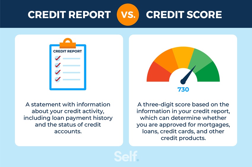 Self Credit report vs credit score