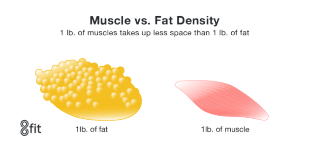 Muscle weight vs fat weight infographic
