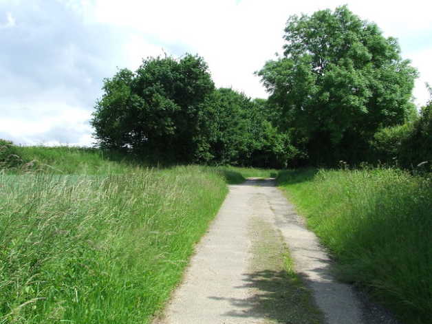 Trail, path into grass