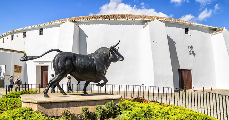 Buy and Hold Bull Market