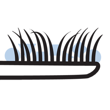brush