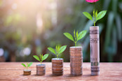 Concept of green bond