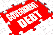 Government Debt Puzzle