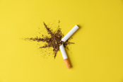 Close up cigarette broken tobacco