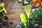 Vegetables harvesting and gardening work tools