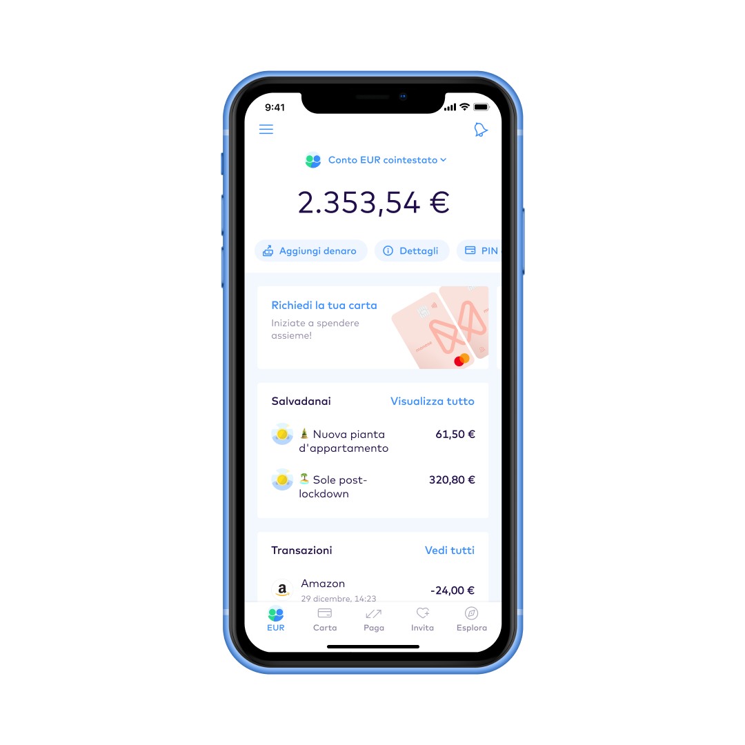 IT manage money you share EUR