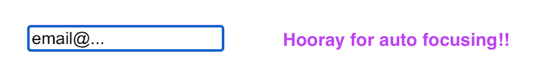 auto focus with useRef hook