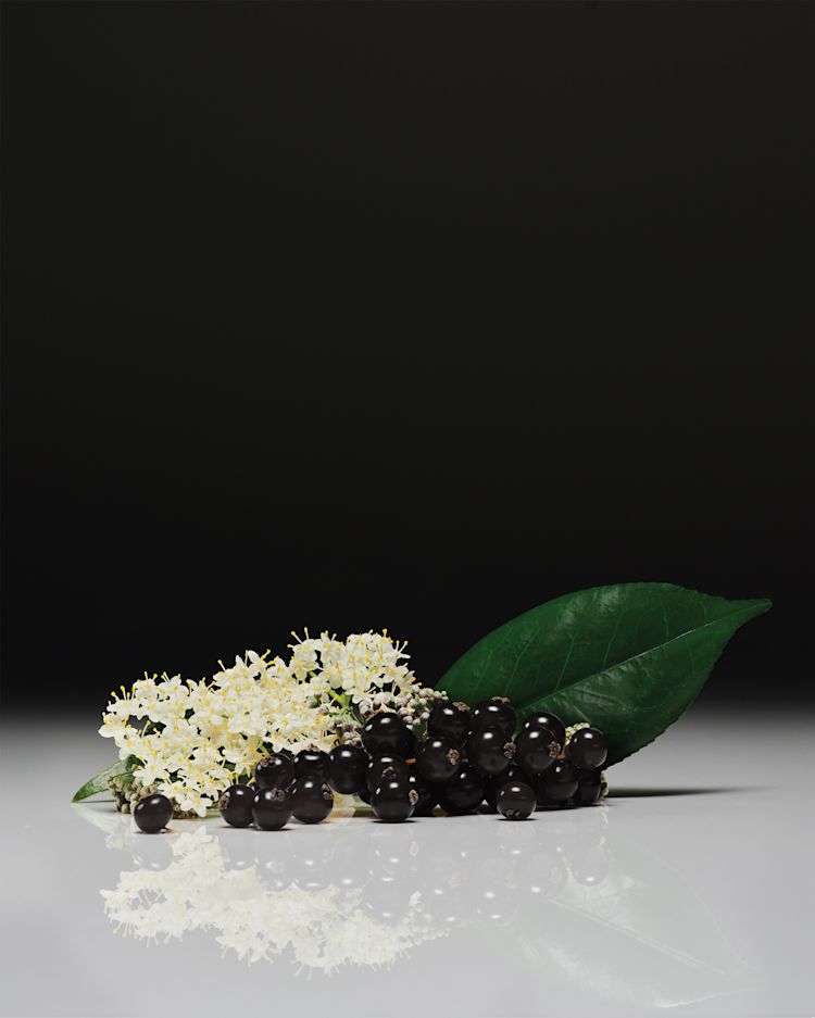 biologica-mythology-brand-launch-packaging-design-identity-womens-health-ingredient-fruits-flowers-leaves