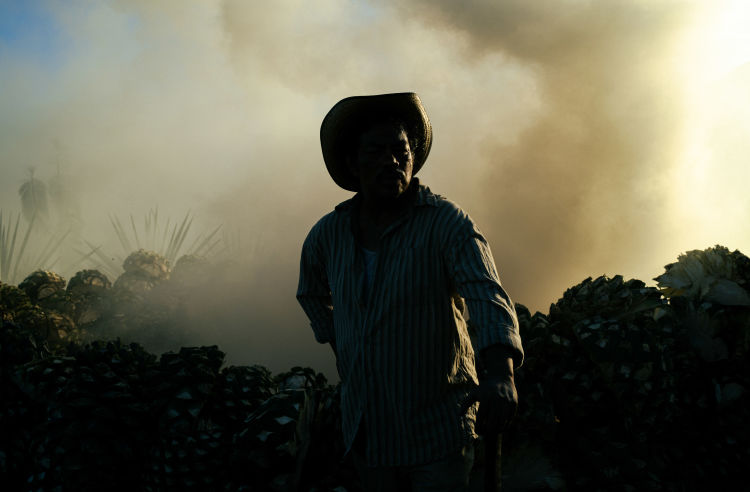 Agua-Magica-Mezcal-Artesanal-Bottle-Mexico-Film-Oaxaca-Man-Working-Agave-Field
