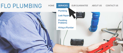 plumbing website