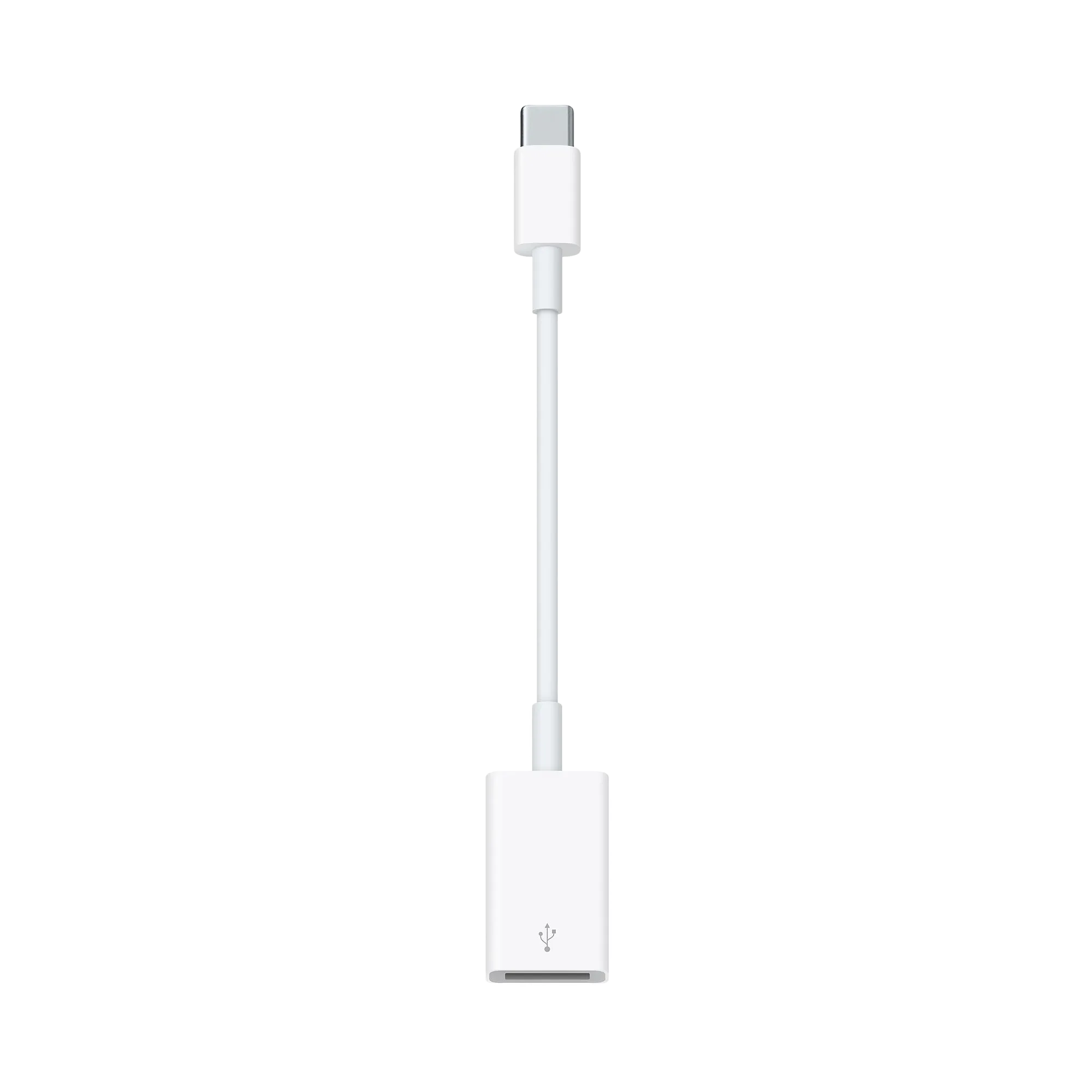 USB-C to USB Adapter
