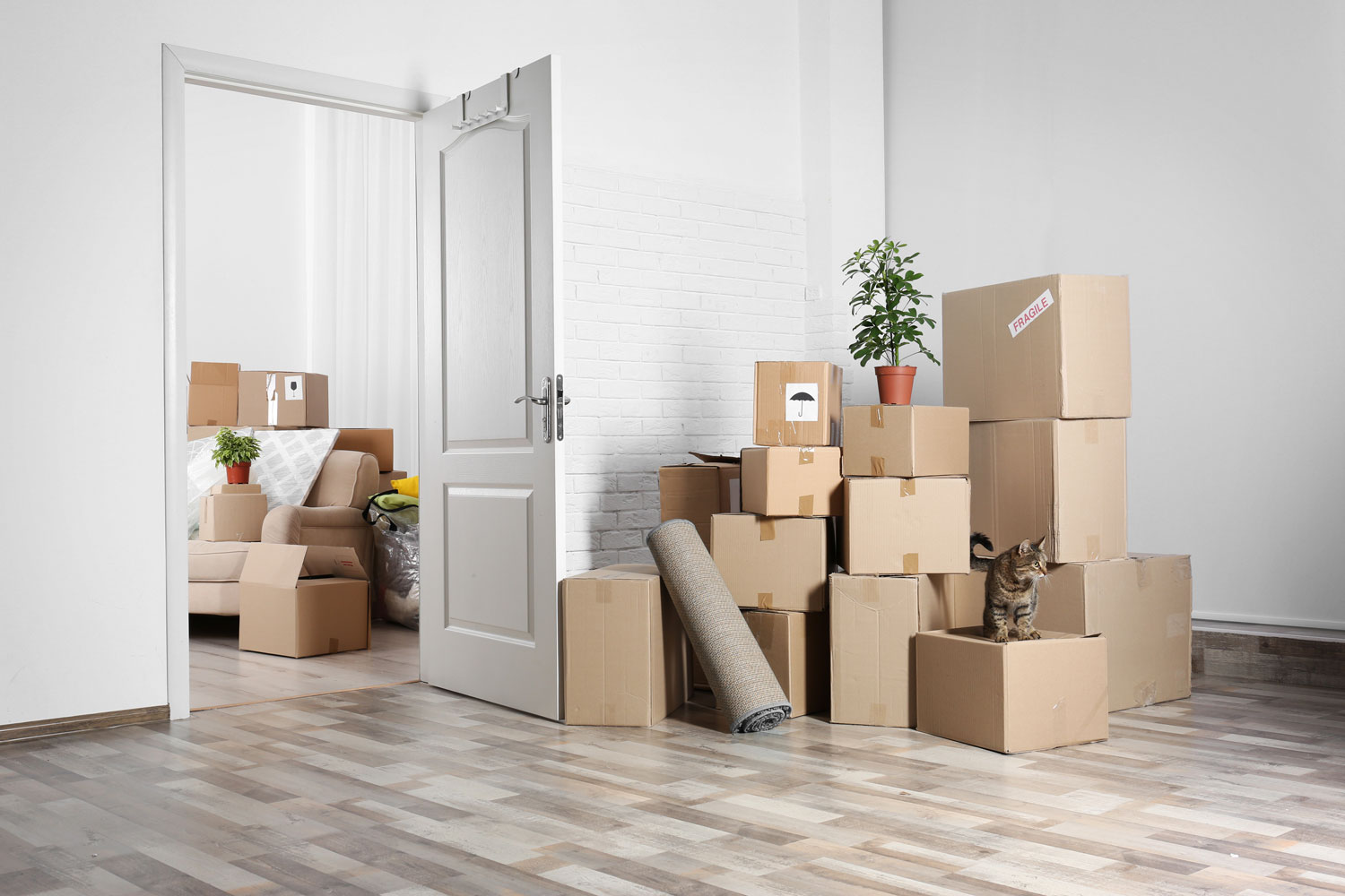 relocation supplier