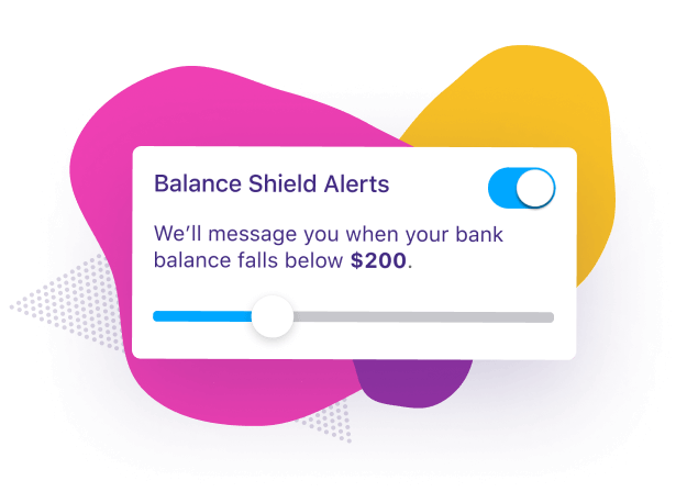 >BALANCE SHIELD