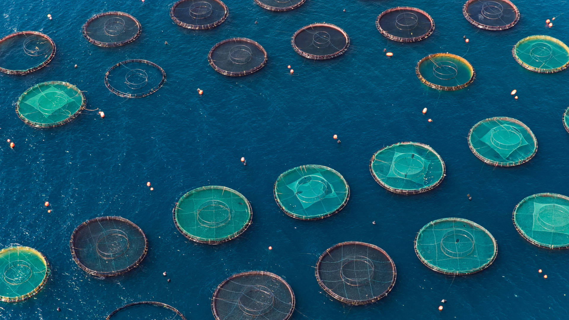 Ocean innovation: the engine shaping the next phase of the ocean economy