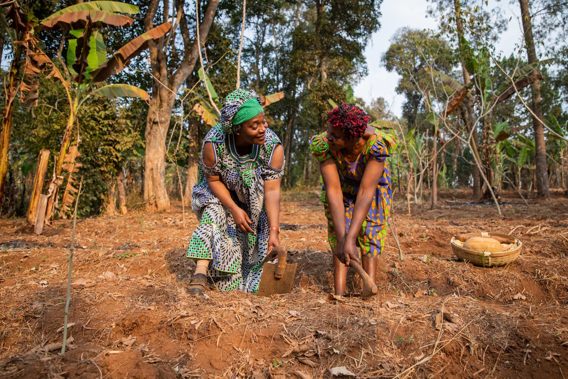 Women are architects of food-systems transformation