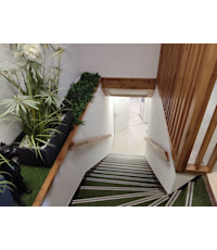 Chêne massif Chêne massif