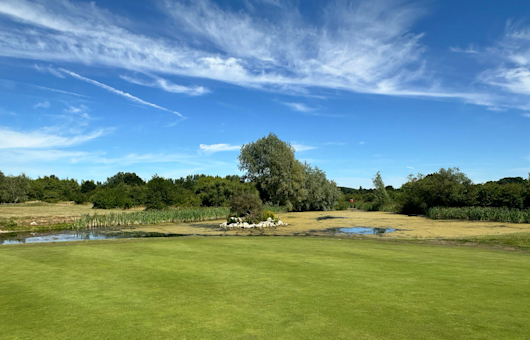 Belton Woods