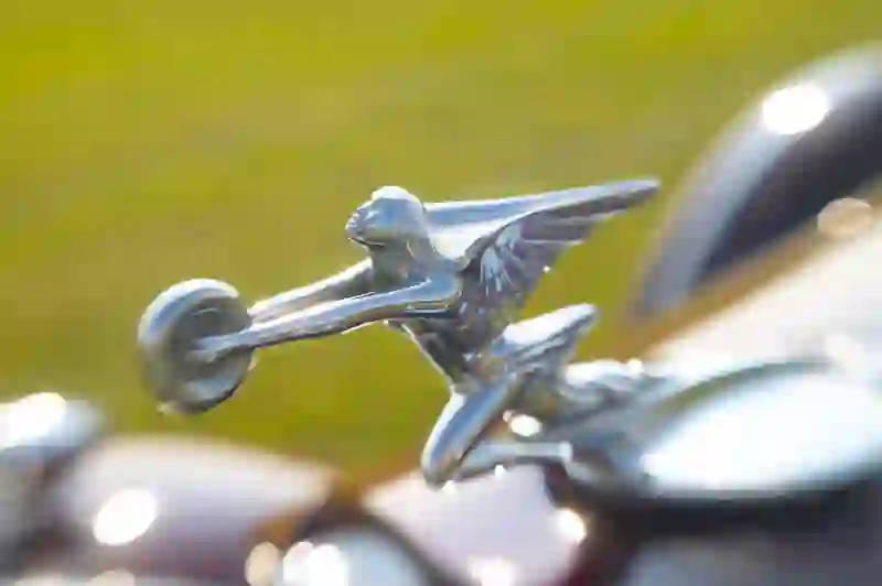 image: packard 