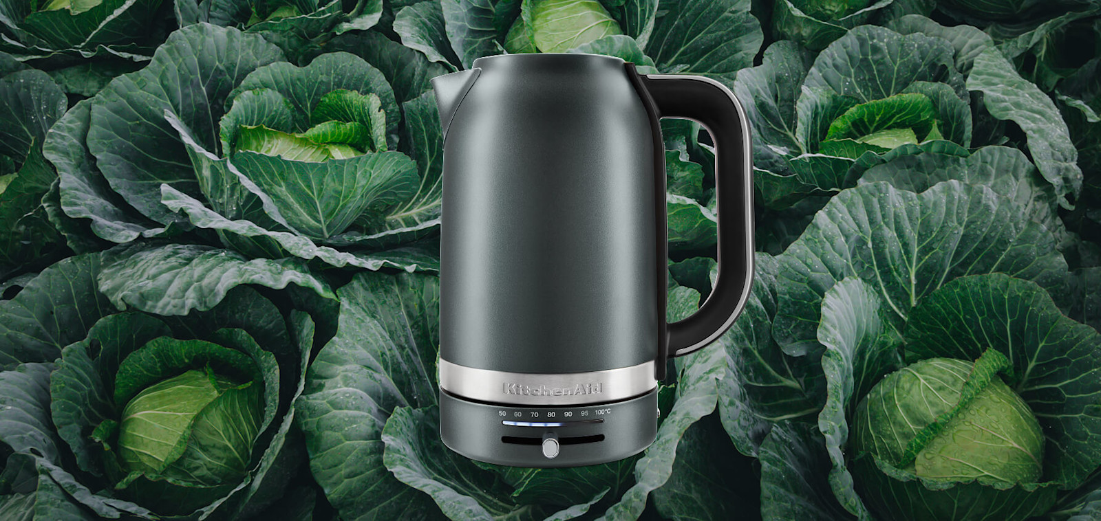 Juniper KitchenAid® electric kettle set against a background of dark cabbage leaves
