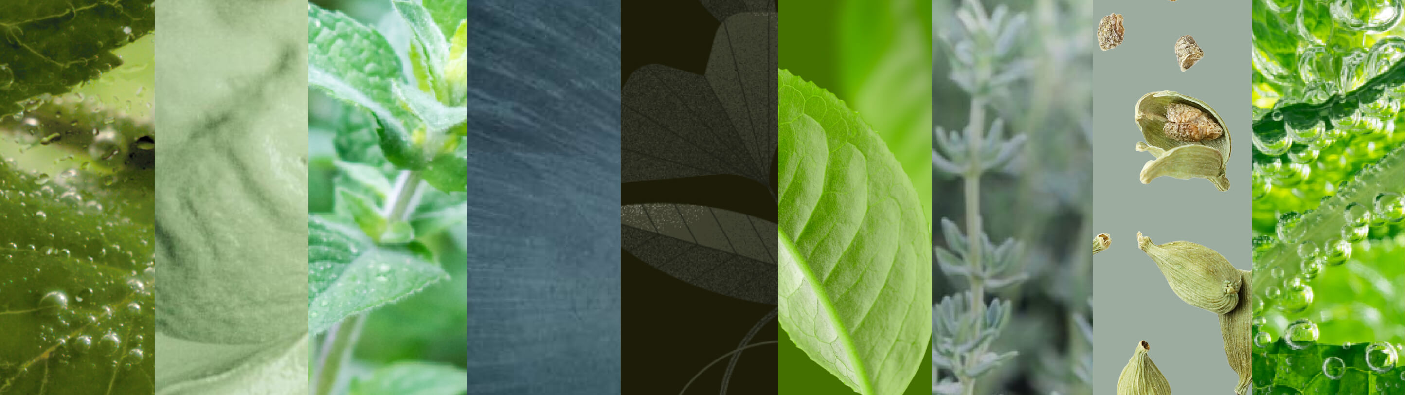 A series of vertical bars showing the inspiration behind various green colors available from KitchenAid brand.