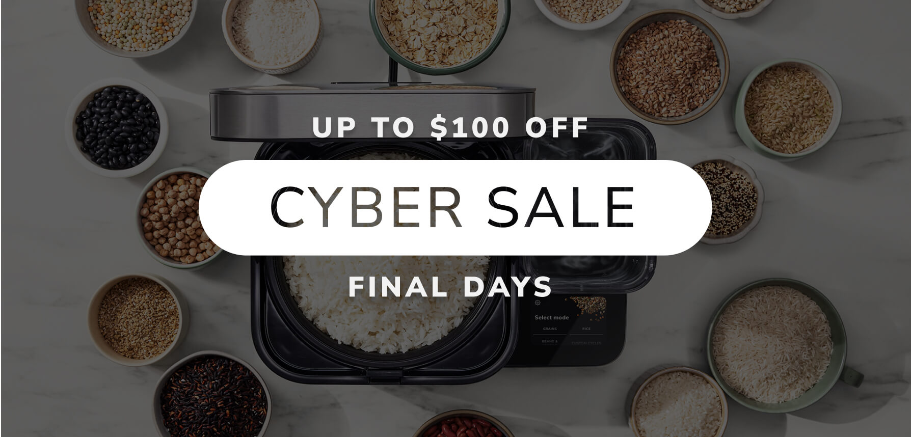 Cyber Grain and Rice PLP