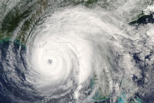 Weather Any Storm: The Power of Hurricane-Rated Steel Buildings