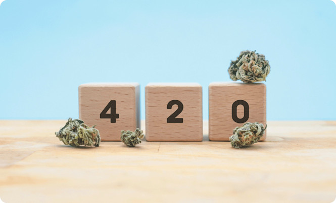 How To Celebrate 420 | A Guide From Mood