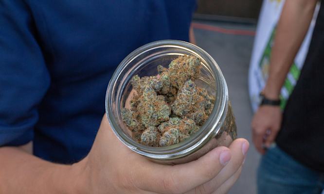 Best Smell Proof Containers for Weed: Everything You Need to Know