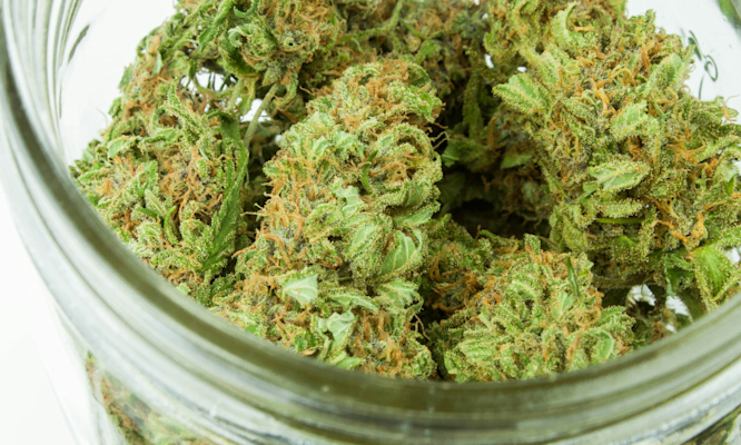 What Is an Eighth of Weed: Everything You Need to Know About 3.5 Grams