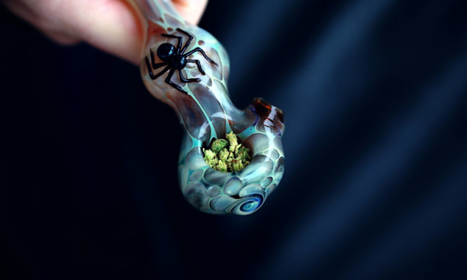 Silicone vs Glass Bongs: Which Material Wins for Your Needs