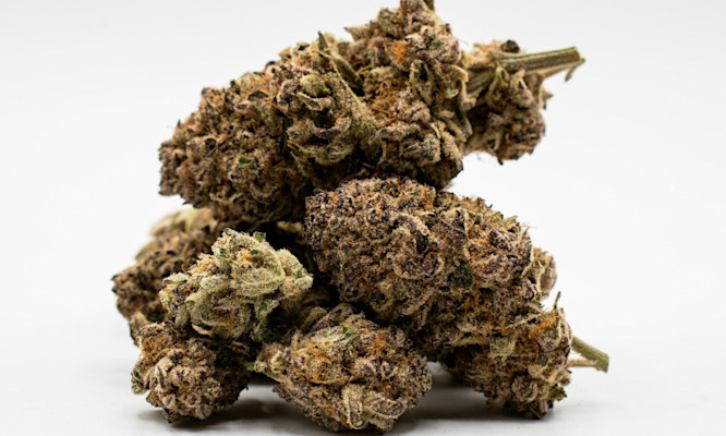 How to Store Weed for Maximum Freshness and Potency