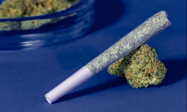 Cannabis Delivery Services Ranked by Speed and Reliability