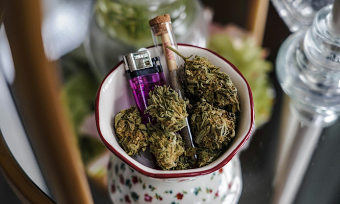 What to Do With Old Weed - Transform Degraded Cannabis into Potent Edibles and Concentrates