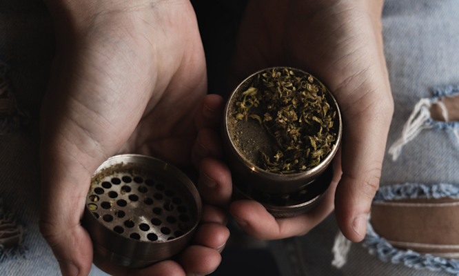 Microdosing THC: Ultimate Research Guide to Benefits