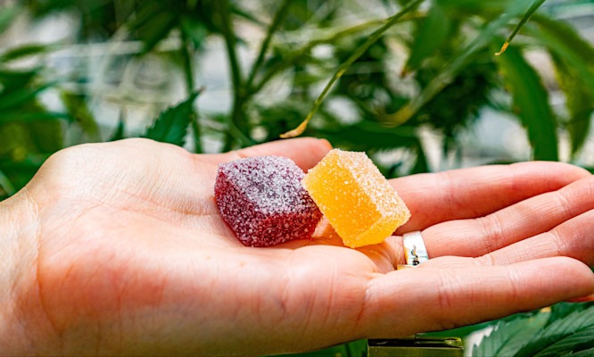 Do Edibles Expire? Complete Spoilage Guide