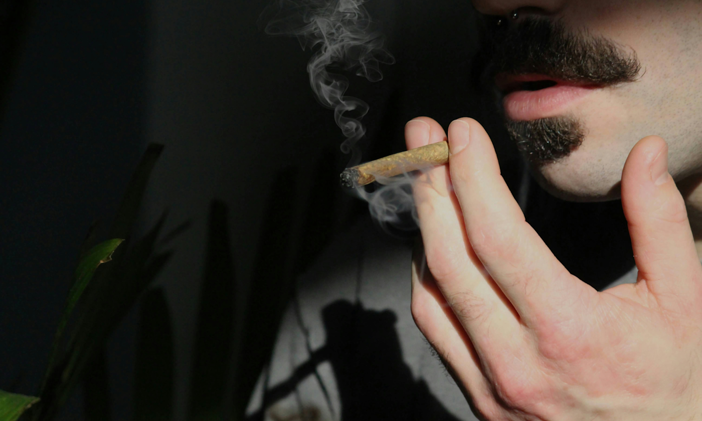 Infused Pre-Rolled Blunts Explained: Everything You Need to Know