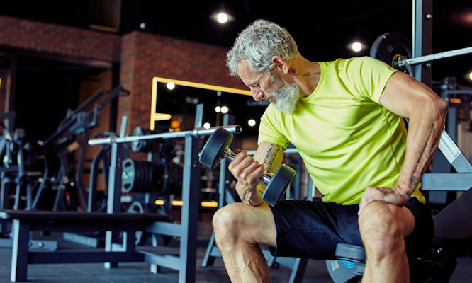 What Are Testosterone Support THC Gummies?