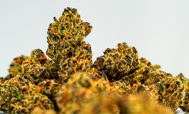 What to Do With Weed Stems Instead of Smoking Them